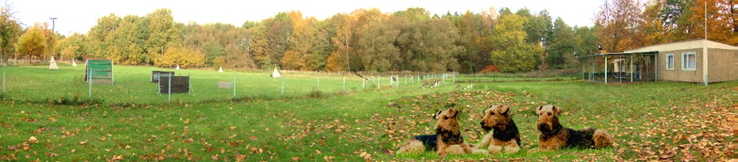 Unser Hundeplatz im Herbst